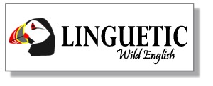Linguetic puffin logo